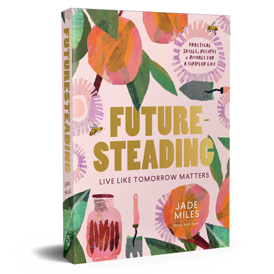 Future-Steading