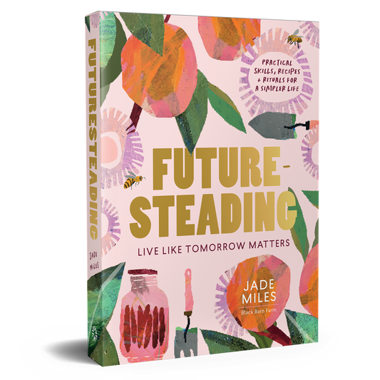 Future-Steading