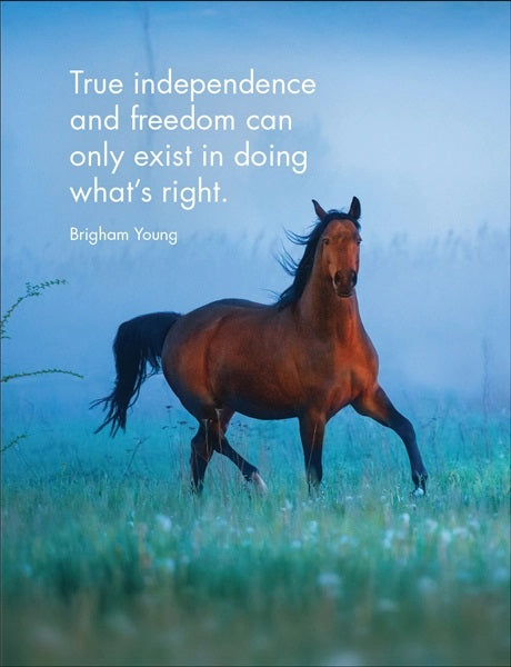 Horse Sense Affirmations